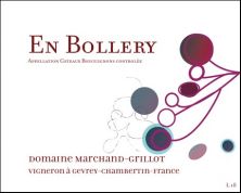 Domaine Marchand-Grillot Coteaux Bourguignons En Bollery 2021 (10283)