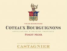 Domaine Jerome Castagnier Coteaux Bourguignons Pinot Noir 2021 (9147)