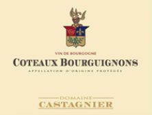 Domaine Jerome Castagnier Coteaux Bourguignons Chardonnay 2021 (9146)