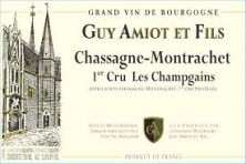 Domaine Guy Amiot Chassagne-Montrachet 1er Cru Les Champgains 2019 (8419)
